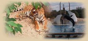 Azur location zoo cap ferrat marineland